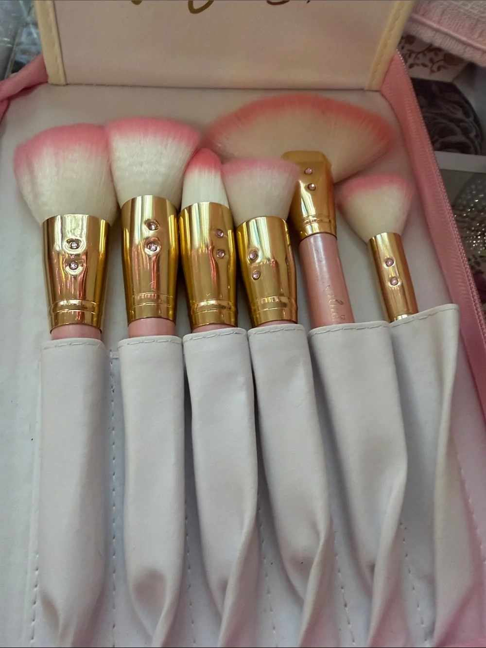 SLMISSGLAM Glam Brush Book - Pink Makeup Brush Organizer with 24 brushes